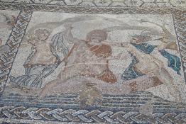 Image du Maroc Professionnelle de  Une mosaïque représentant une scène de la mythologie grecque dans les ruines de la maison Vénus à Volubilis,  l'un des sites les mieux préservés au Maroc et le plus visité. Il se situe à proximité de Moulay Idriss Zerhoun à une trentaine de km au nord-ouest de Meknès, photo prise le jeudi 8 Mars 2012. Volubilis ville antique berbère Walili (Lauriers rose) qui date du 3e siècle avant J.-C. capitale du royaume de Maurétanie fondé comme seconde capital sous le règne de Juba II. (Photo / Abdeljalil Bounhar)
 